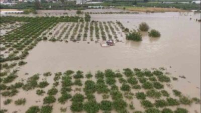 Hatay’da meydana gelen şiddetli yağışlar sonucu yaşanan sel felaketinde hayatını