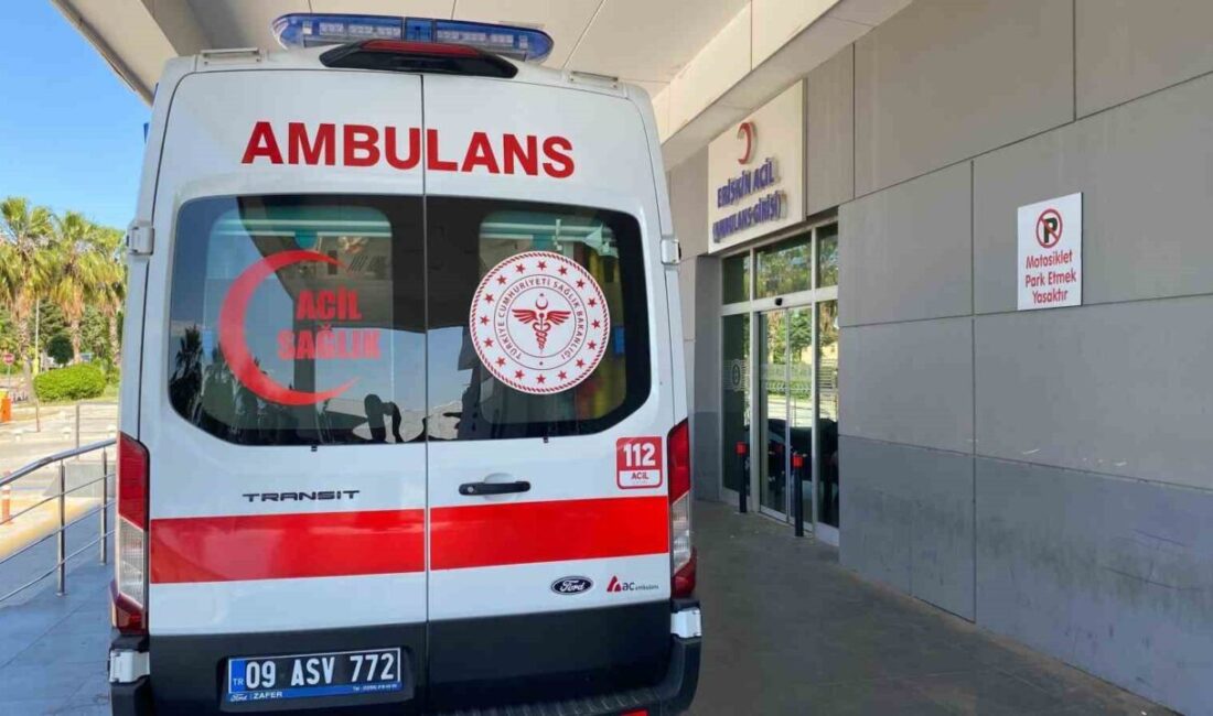 Aydın’ın Efeler ilçesindeki Danişment Mahallesi’nde meydana gelen acı olayda 16