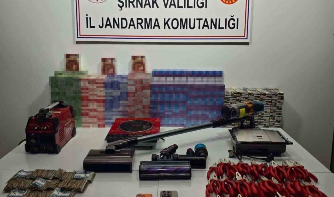 Şırnak’ta gerçekleştirilen bir haftalık operasyonlar kapsamında, tarihi eser ve gümrük