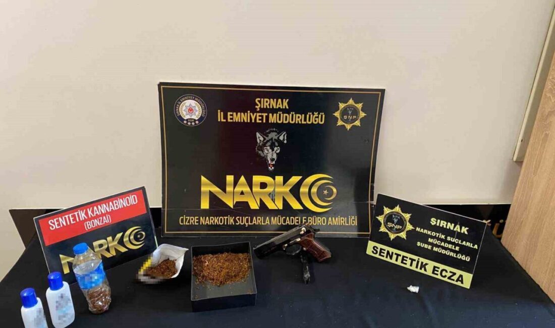 Şırnak ilinde gerçekleştirilen asayiş, narkotik ve kaçakçılık operasyonlarında, yaklaşık 7