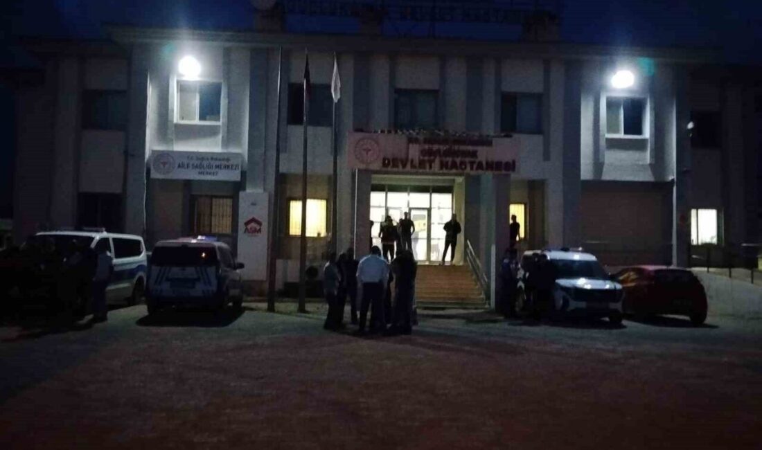 Şırnak’ın Güçlükonak ilçesine bağlı Ağaçyurdu köyünde iki aile arasında yaşanan