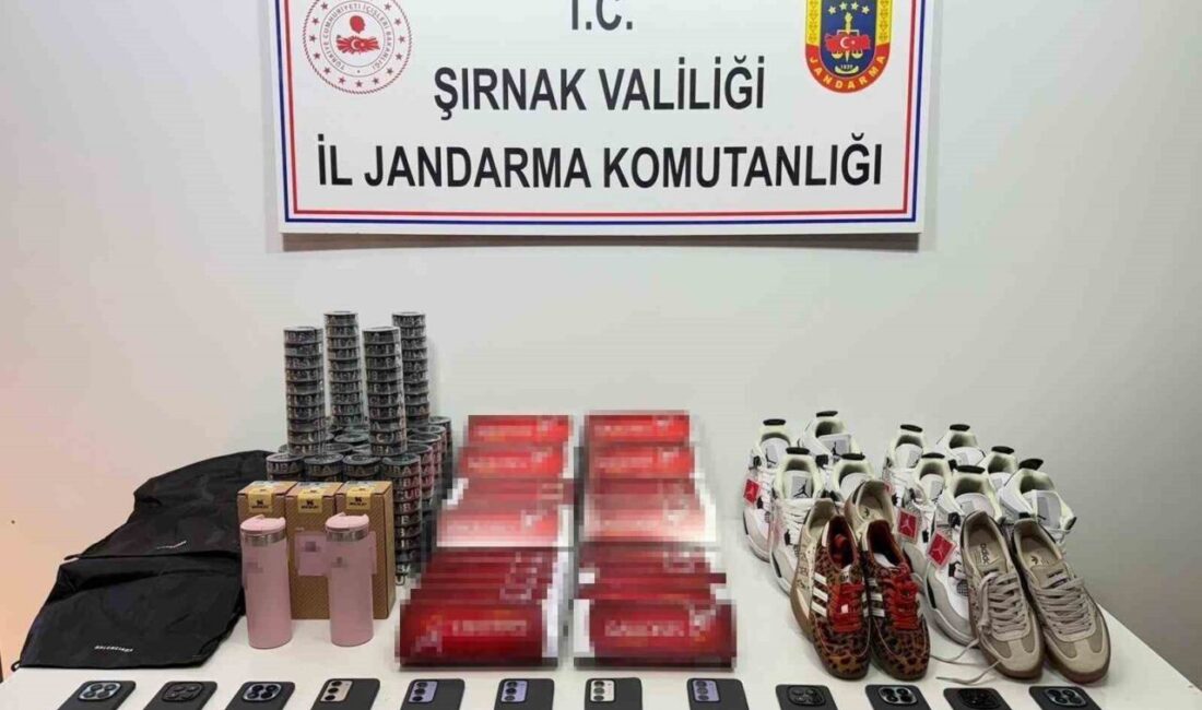 Şırnak İl Jandarma Komutanlığı KOM Şube Müdürlüğü ekiplerinin, 27 Nisan-03