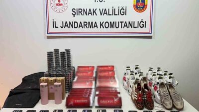 Şırnak İl Jandarma Komutanlığı KOM Şube Müdürlüğü ekiplerinin, 27 Nisan-03
