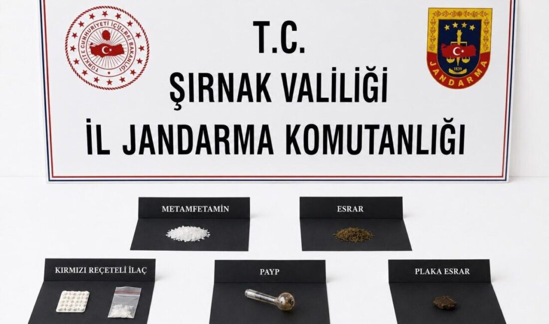 Şırnak’ta yürütülen bir haftalık operasyonlarda 15 milyon 460 bin 300
