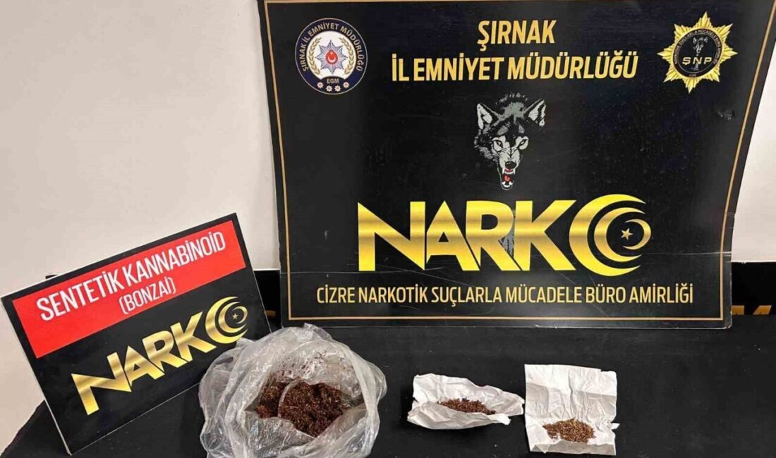 Şırnak’ta düzenlenen operasyonlarda büyük miktarda uyuşturucu ve kaçak ürün ele