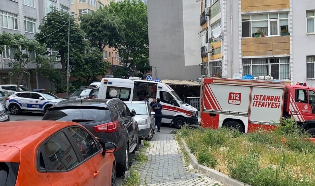 80 yaşındaki kadın, Şişli Mecidiyeköy Mahallesi, Hark Sokak’taki evinde uzun