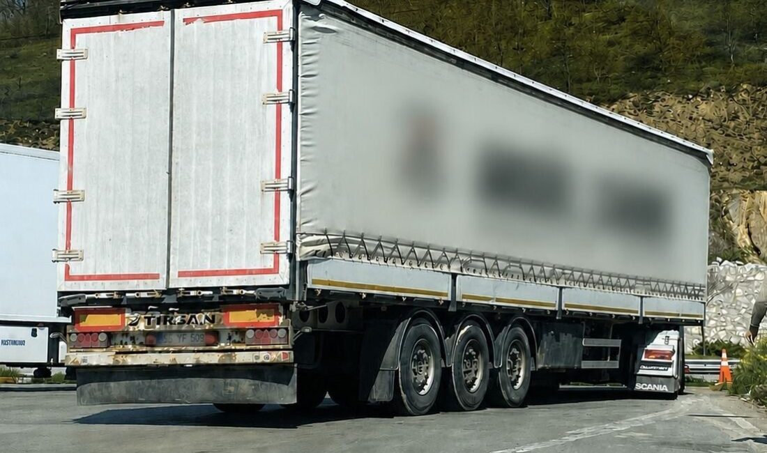 Samsun’da yapılan trafik denetiminde, bir tır şoförünün başka bir kişiye