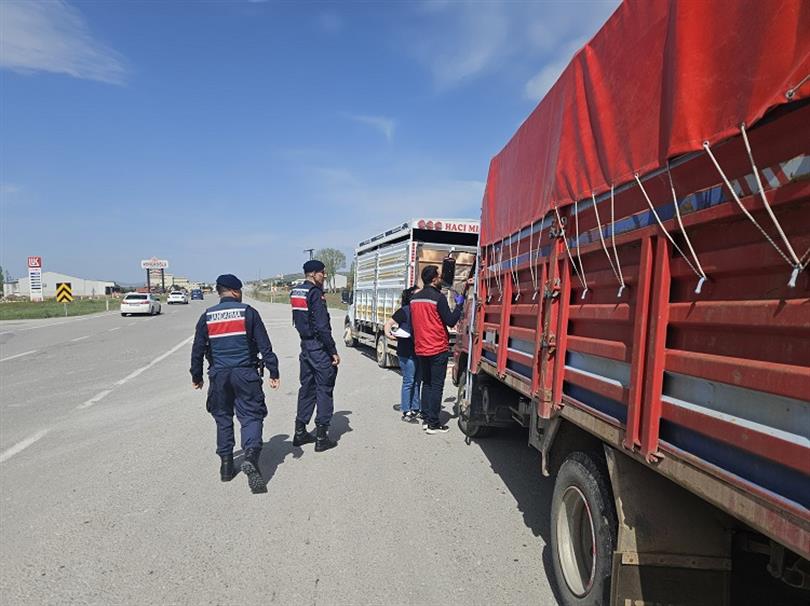 2026 Yılı Kurban Bayramı öncesinde hayvan hareketliliği artarken, Tarım ve