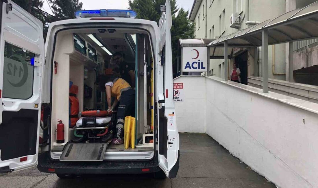 Zonguldak’ın Alaplı ilçesine bağlı Aydınyayla beldesinde bulunan bir taş ocağında