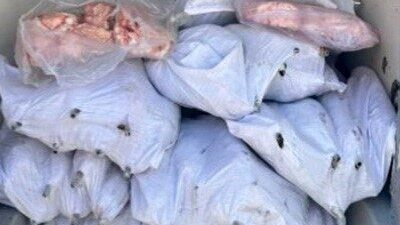 Ergene ilçesinde Jandarma ekiplerinin tip verdiği bir araç denetlendi. Yapılan