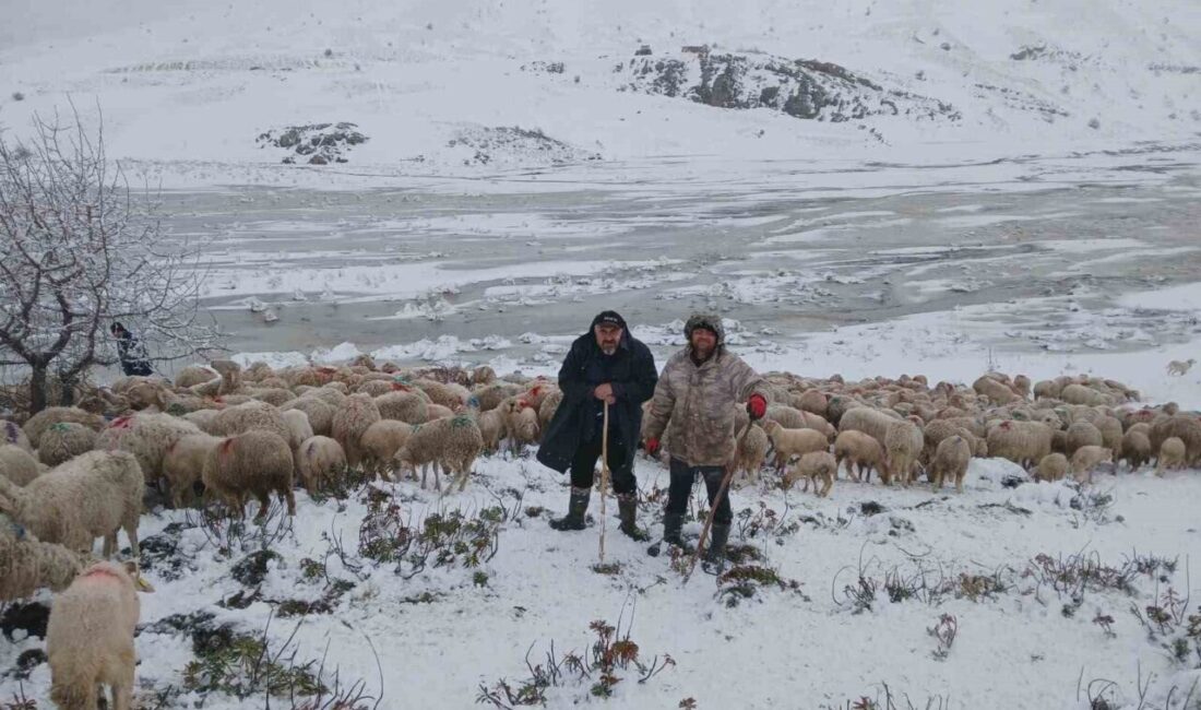 Isparta’nın Yalvaç ilçesine bağlı Yarıkkaya köyünde, 650 küçükbaş hayvanla yaylaya