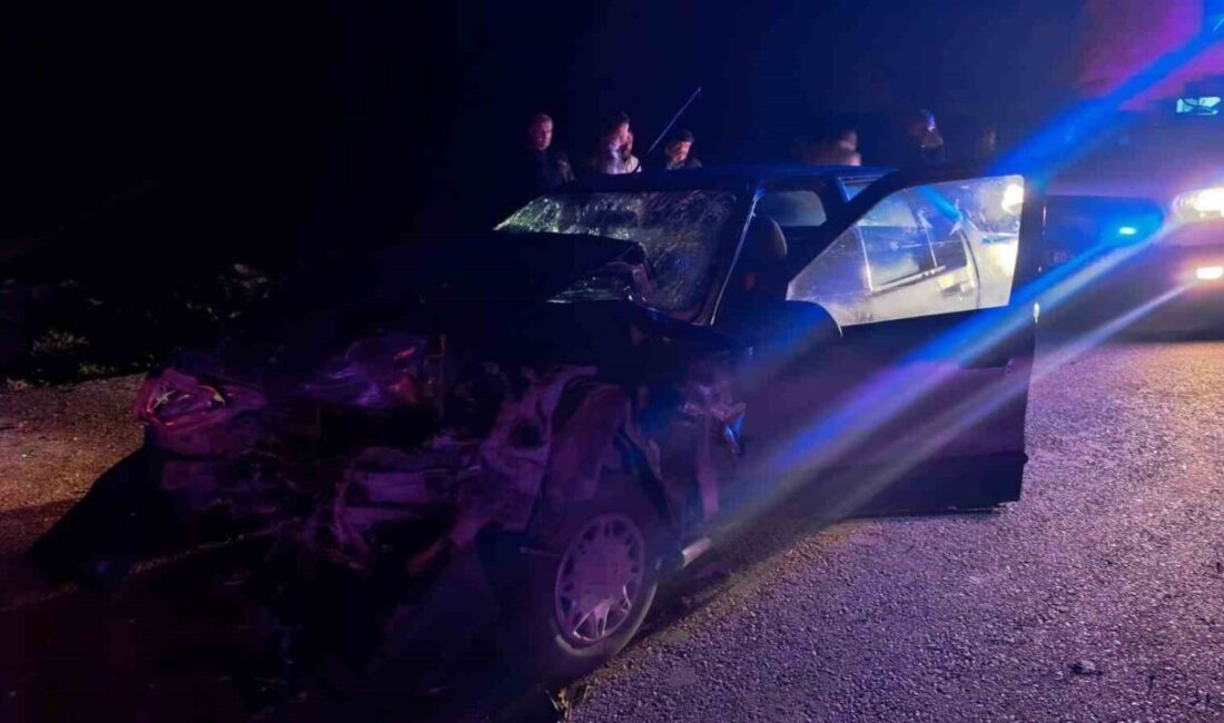 Zile ilçesinde meydana gelen trafik kazasında, aynı yönde seyreden iki