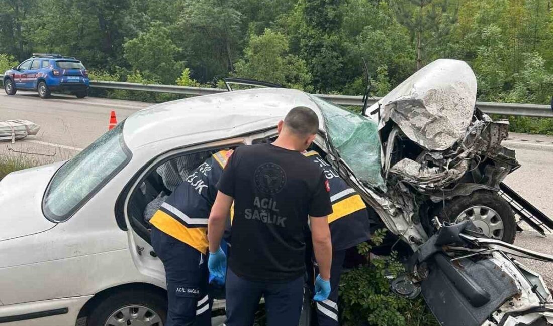 Reşadiye ilçesinde meydana gelen trafik kazasında 5 kişi yaralandı. Kazanın,