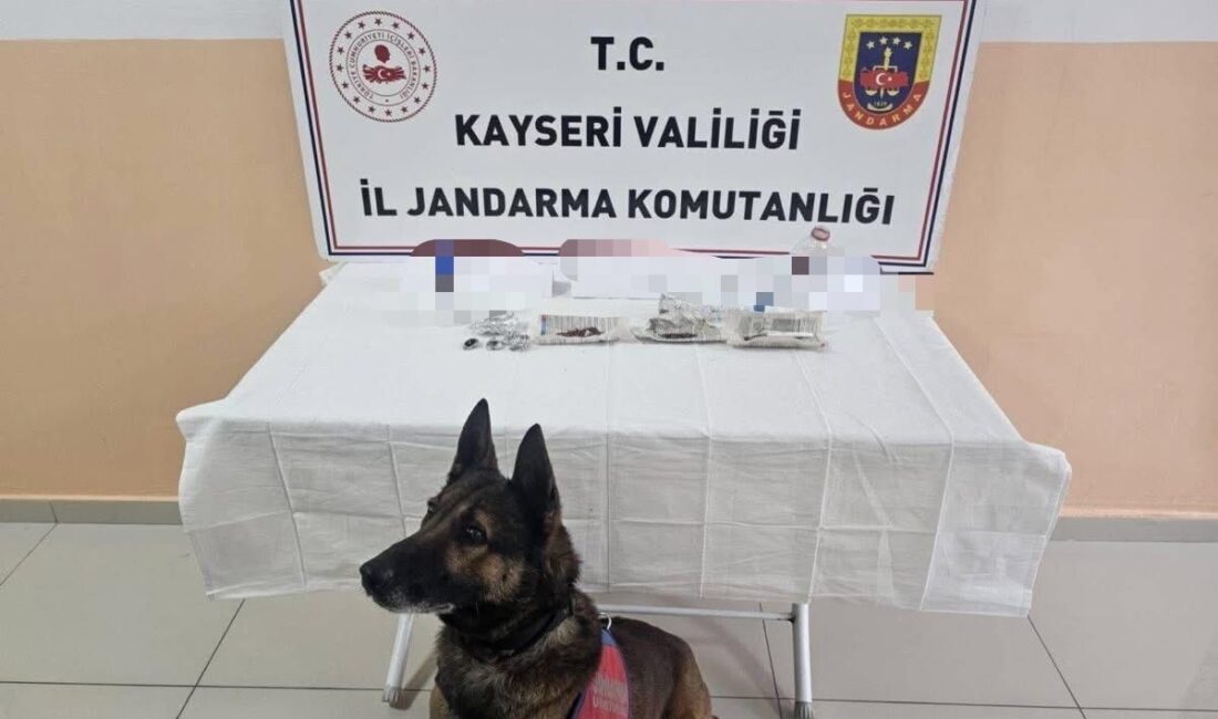 Tomarza ilçesinde jandarma ekipleri tarafından yürütülen uyuşturucuyla mücadele operasyonlarında, 13