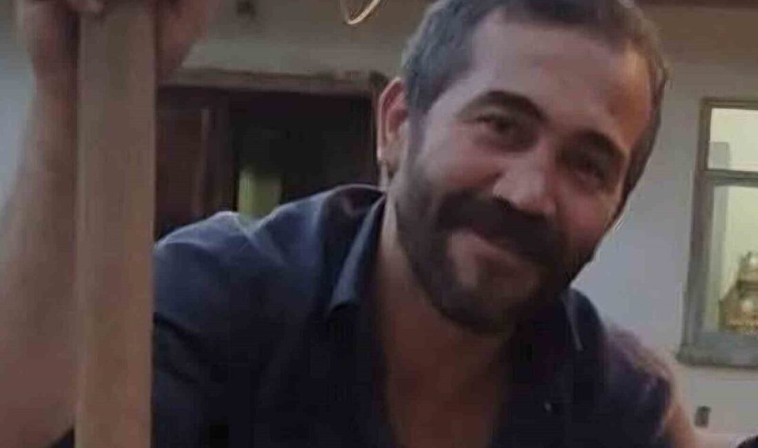 Bartın’ın Ulus ilçesinde ormanlık alanda çalışan bir işçi, tomrukların altında