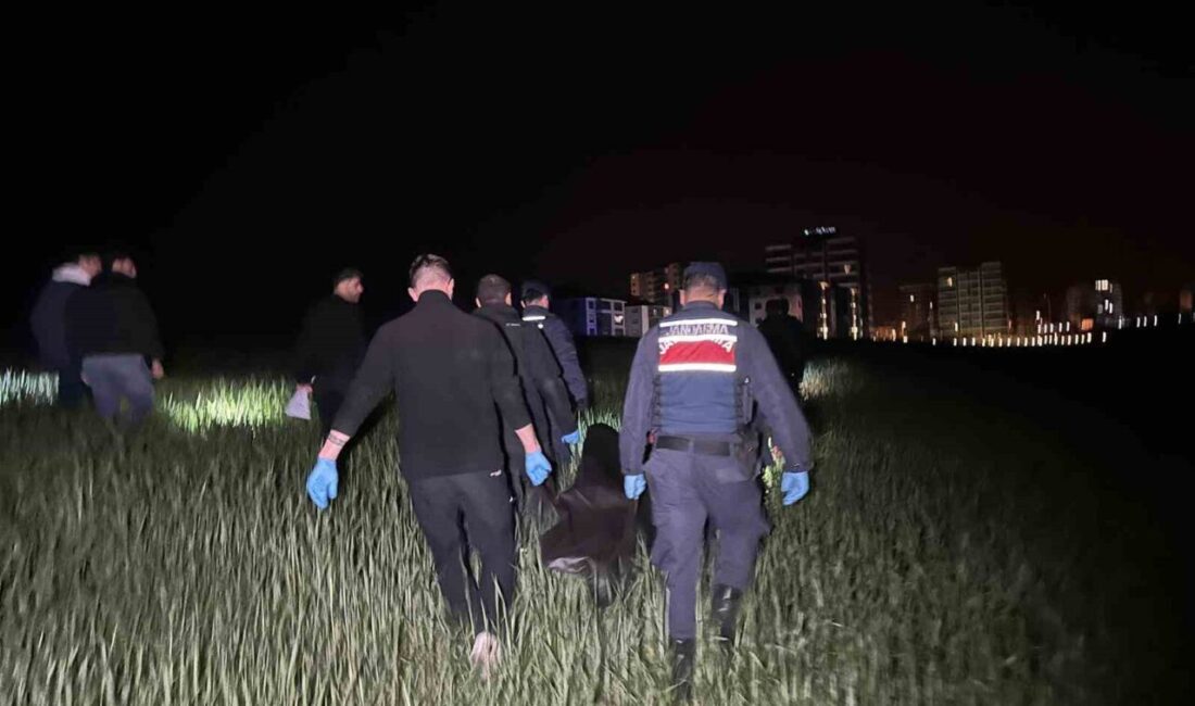 Uşak’ta bir tarım arazisinde bir erkeğe ait ölü bedeni bulundu