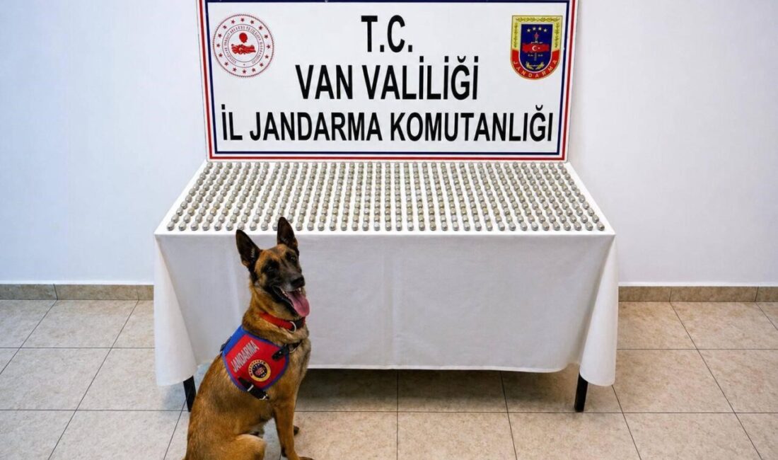 Van ilinde jandarma ekipleri tarafından yürütülen operasyon sonucunda, 8 İran