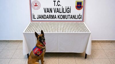 Van ilinde jandarma ekipleri tarafından yürütülen operasyon sonucunda, 8 İran