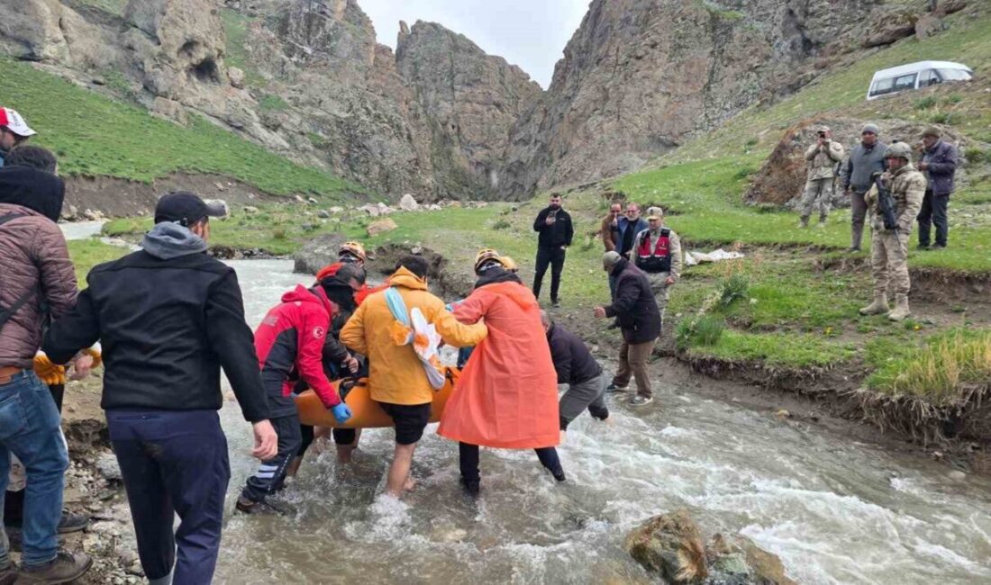 Van’ın İpekyolu ilçesinde dağlık bir alanda yürüyüş yaparken düşüp yaralanan