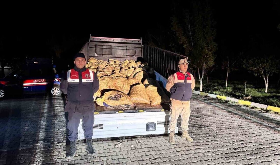 Van’ın Muradiye ilçesinde 800 kilogram inci kefali balığının kaçak avlandığı