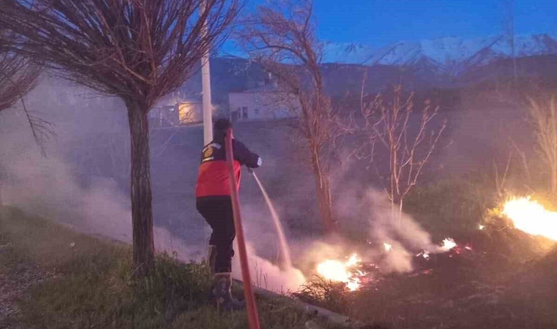 Gevaş ilçesinde bulunan sazlık alanda meydana gelen yangın, itfaiye ekipleri