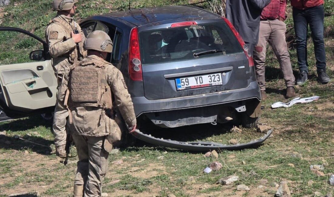 Van’ın Başkale ilçesinde meydana gelen trafik kazasında bir kadın hayatını