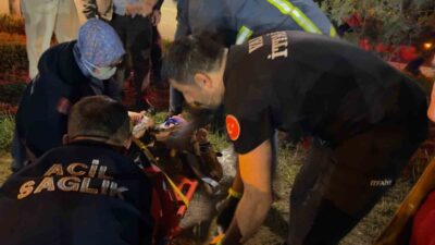 Van’ın Tuşba ilçesinde meydana gelen trafik kazasında 8 kişi yaralandı.