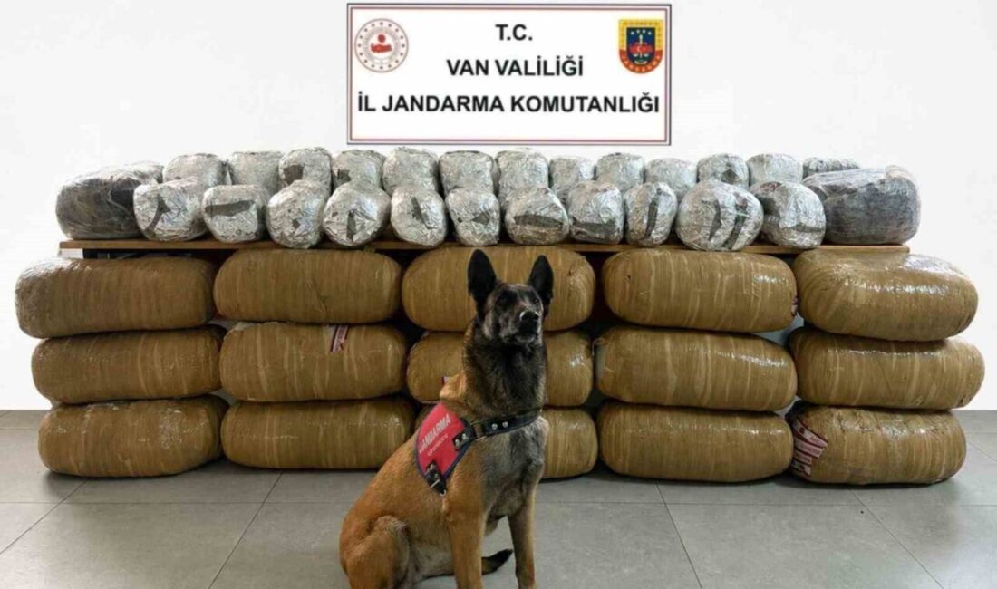 Van’da jandarma ekipleri tarafından gerçekleştirilen operasyonlar neticesinde toplamda 443 kilo