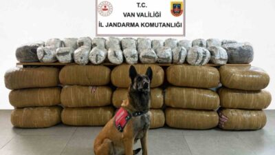 Van’da jandarma ekipleri tarafından gerçekleştirilen operasyonlar neticesinde toplamda 443 kilo