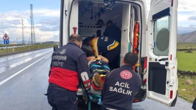 Van’ın Çaldıran ilçesinde meydana gelen trafik kazasında bir kamyonet şarampole