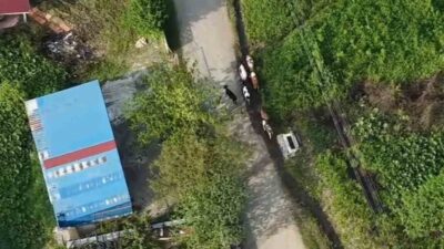 Sakarya’nın Hendek ilçesinde otlarken kaybolan 7 büyükbaş hayvan, jandarma ekiplerinin