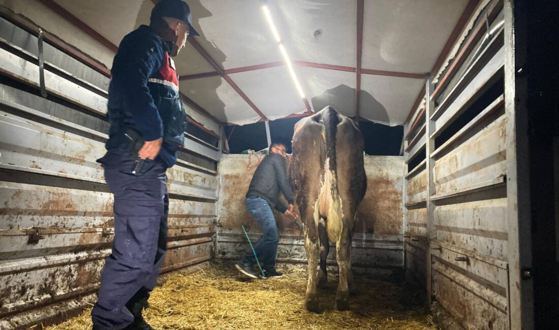 Yozgat İl Jandarma Komutanlığı ekipleri, il genelinde vatandaşların can ve