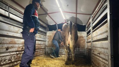 Yozgat İl Jandarma Komutanlığı ekipleri, il genelinde vatandaşların can ve