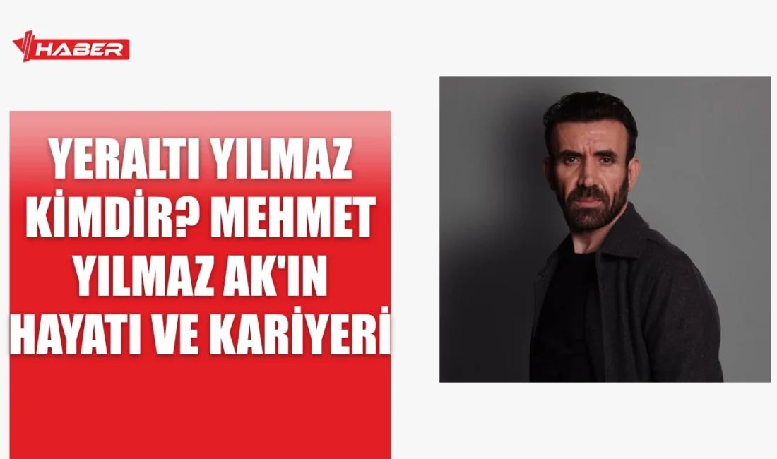 Yeraltı Yılmaz, NOW platformunda yayınlanan Yeraltı dizisinin devlet görevlisi karakteridir.