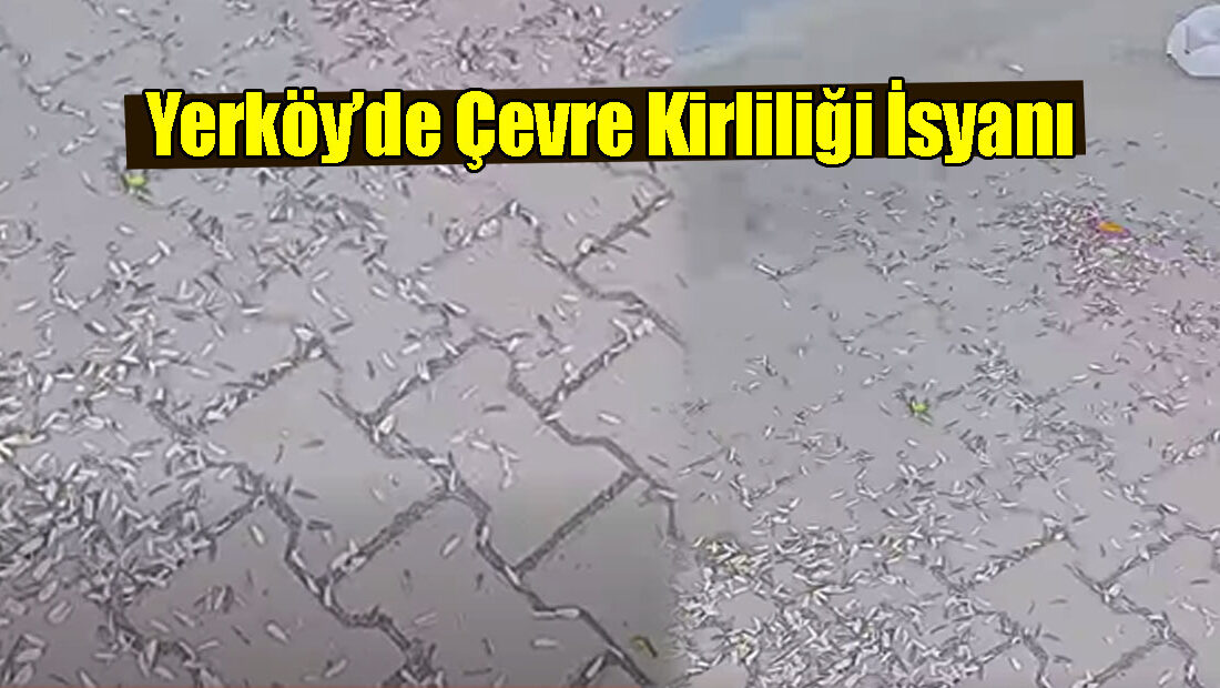 Yozgat’ın Yerköy ilçesinde çevre kirliliği sorunu devam ederken, bir vatandaşın