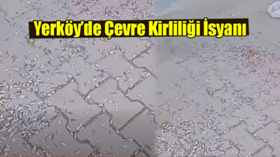 Yozgat’ın Yerköy ilçesinde çevre kirliliği sorunu devam ederken, bir vatandaşın