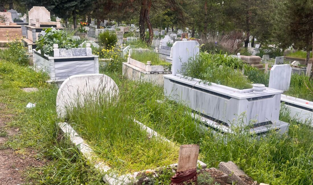 Yerköy ilçesi sakinlerinden, Kahya köyü eşrafından Necati Yılmaz’ın eşi Yıldız