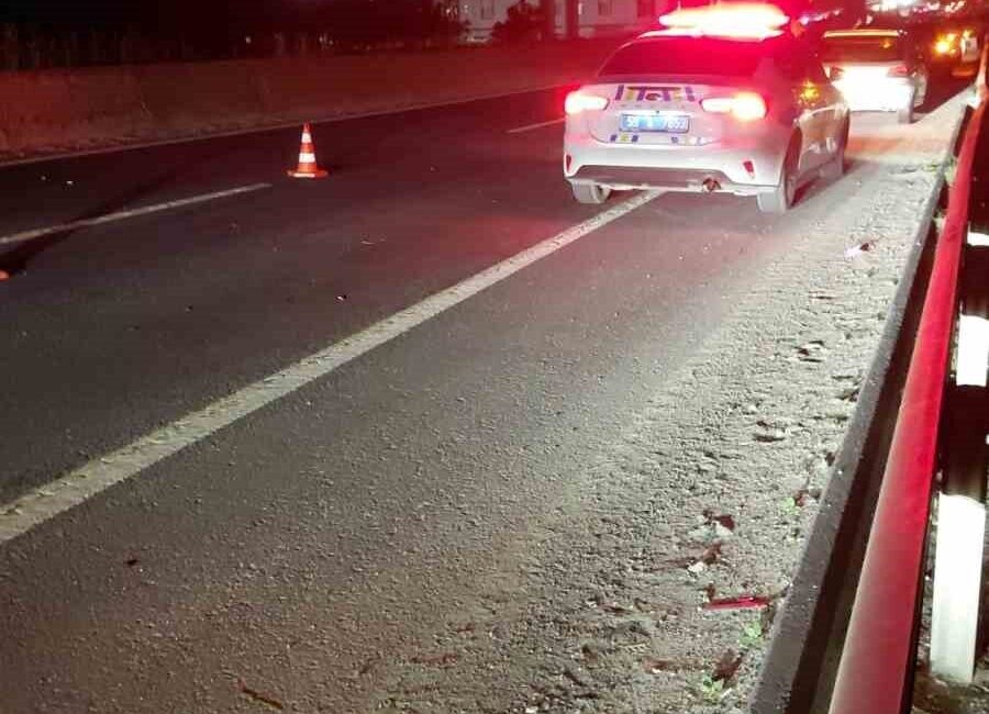 Çerkezköy ilçesinde, yola çıkan atlar nedeniyle meydana gelen zincirleme trafik