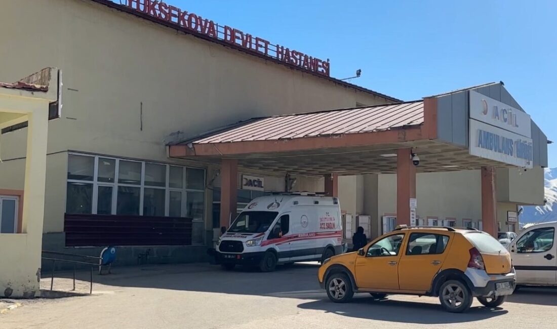 Hakkari’nin Yüksekova ilçesinde bir gencin yaylada koyun otlatırken meydana gelen
