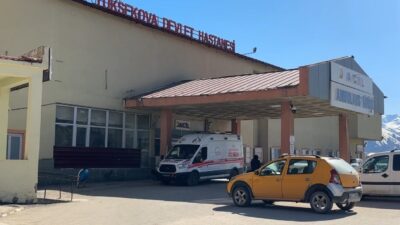 Hakkari’nin Yüksekova ilçesinde bir gencin yaylada koyun otlatırken meydana gelen