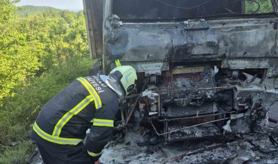 Zonguldak’ın Kozlu ilçesine bağlı Dağköy köyünde bir kamyonun kabin kısmının
