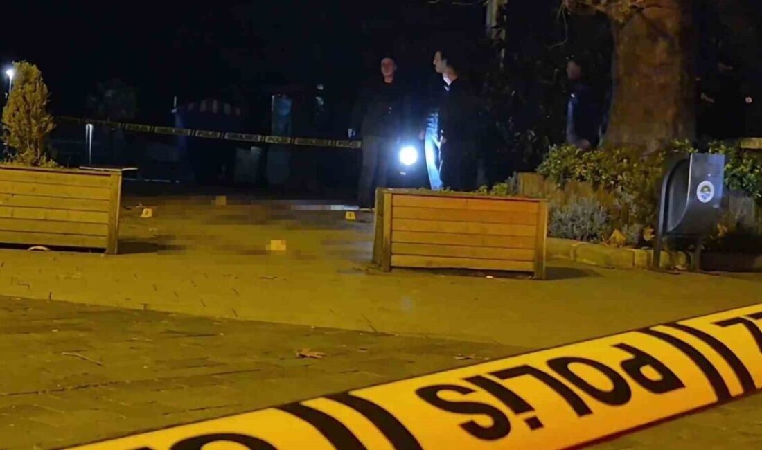 Zonguldak’ta Murat Dereli isimli şahıs, eşinin dayısı Serkan Akdal’ı bıçaklayarak