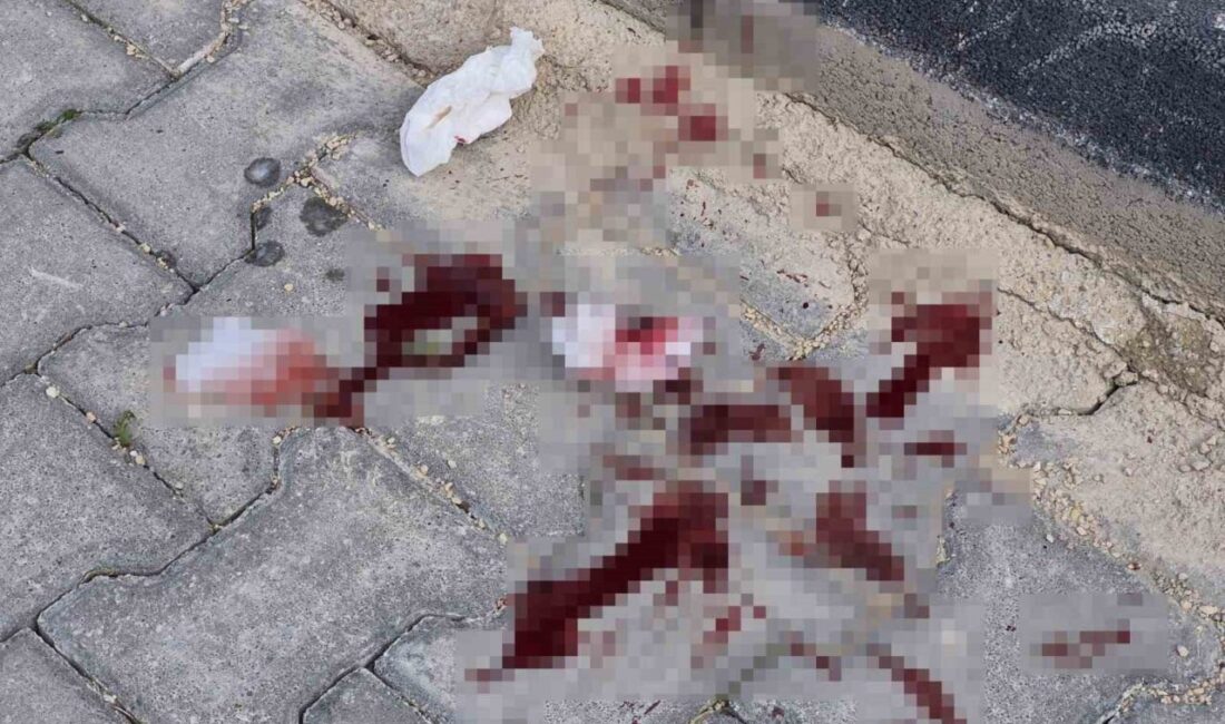 Eskişehir’de, Yeşil Meydan Caddesi’nde 16 yaşındaki bir genç, kimliği belirsiz