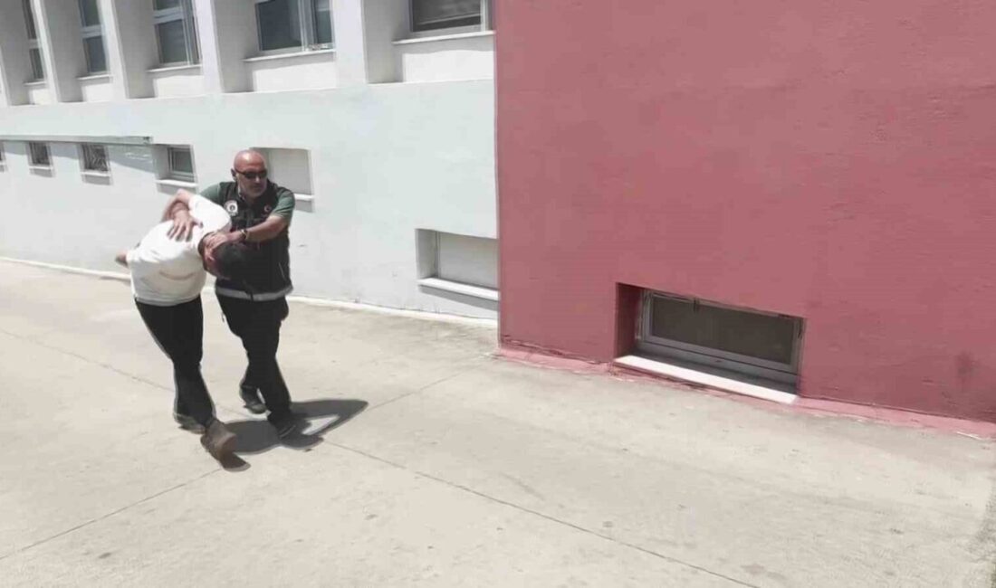 Adana’da Narkotik polisin durdurduğu bir araçta dedektör köpeğinin tepki verdiği