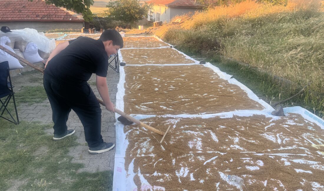 Çiçekdağı ilçesinde, kış sofralarının vazgeçilmezi olan geleneksel bulgur yapım sezonu