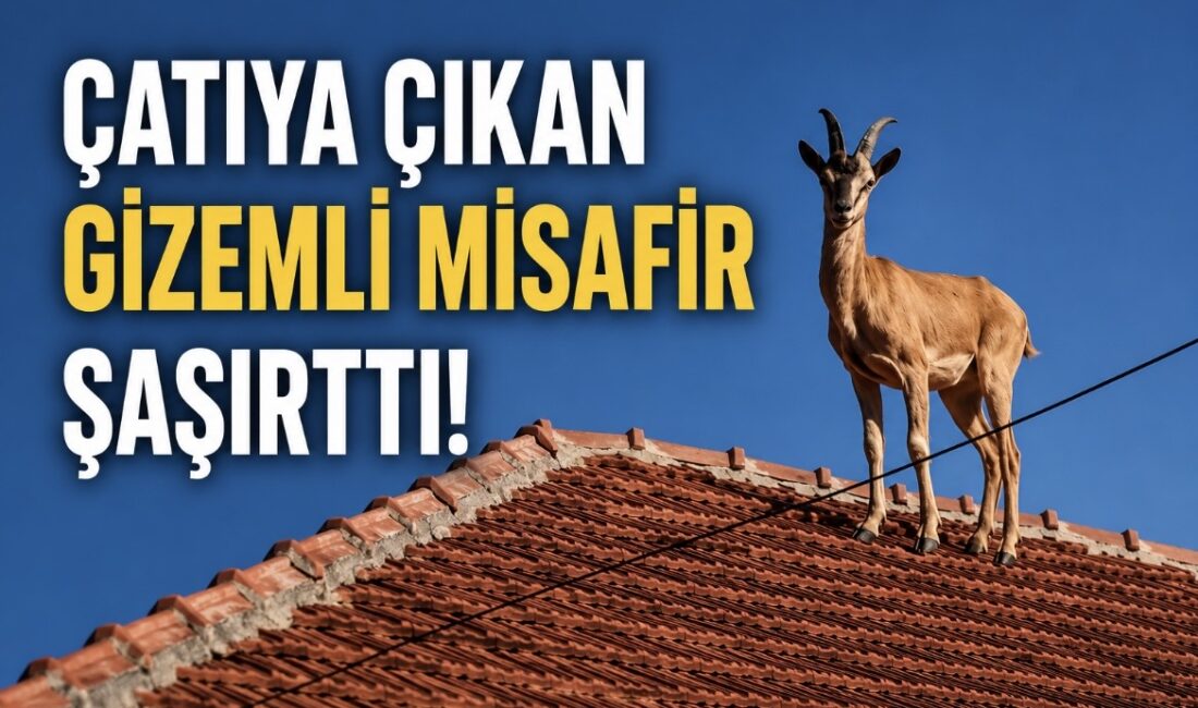 Yozgat’ın Sarıkaya ilçesinde eşine az rastlanır, heyecan verici bir doğa