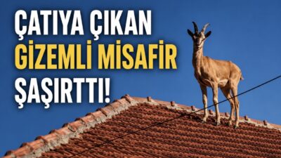Yozgat’ın Sarıkaya ilçesinde eşine az rastlanır, heyecan verici bir doğa
