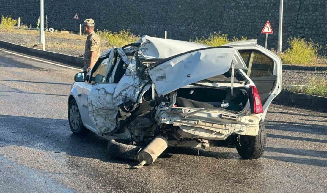 Ağrı-Hamur kavşağında meydana gelen trafik kazasında, kırmızı ışıkta bekleyen bir
