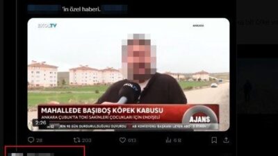 Kahramanmaraş’ta, görev yaptığı aile sağlığı merkezinde sedye üzerinde köpek tedavisi