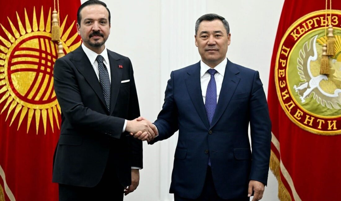 AK Parti Genel Başkan Yardımcısı ve Türk Devletleri ile İlişkiler